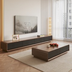 G3YN極簡胡桃木電視櫃茶几簡約現代小戶型客廳輕奢窄電視機櫃