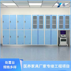 医院治疗柜处置室无菌药品柜配药处置台电解板西药柜厂家直供储物