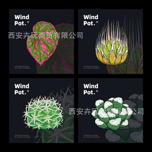 Windpot Original Refrigerator Magnet Plant Phalaenopsis Creative 3.0 Fun Home Decoration