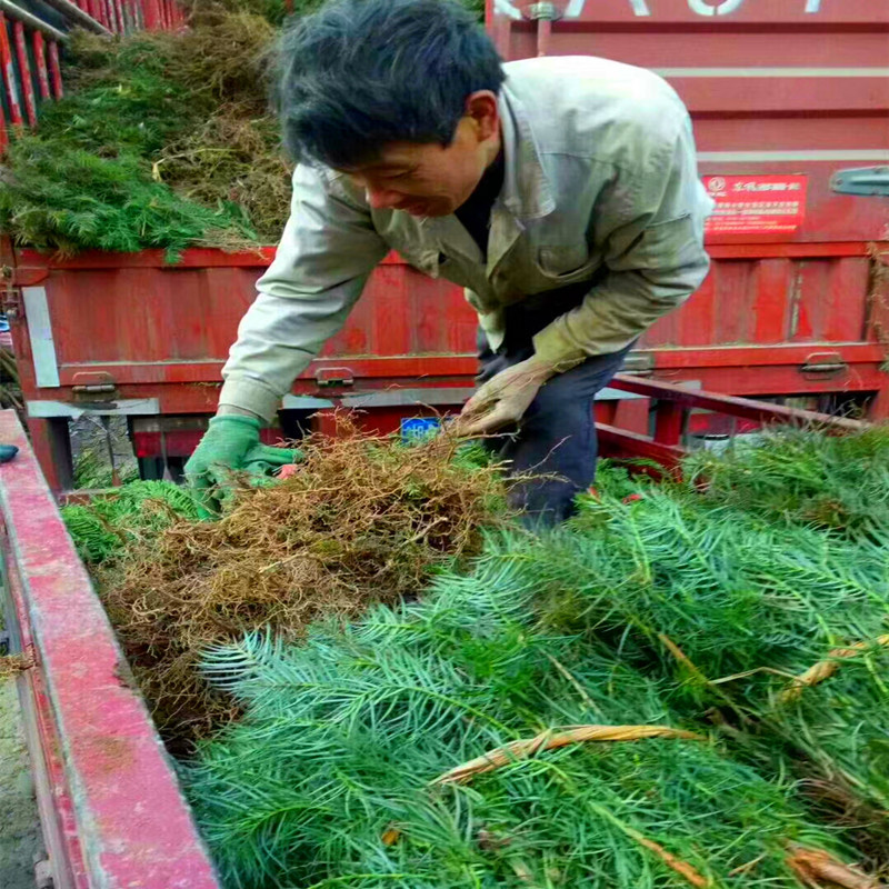 微信图片_20240705233158_副本