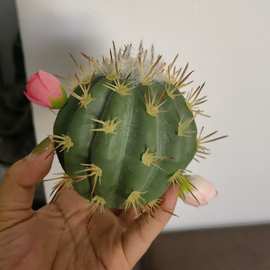 汽车天线装饰天线球仙人球带花苞可爱迷你电动车天线萌物厂家直销