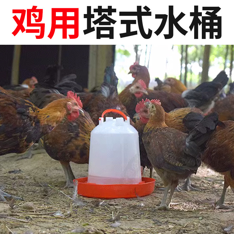 鸡水桶自动塔式水桶土鸡自动饮水器 8斤及以下