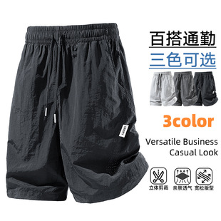 ������+�羳�p�棩2026�ļ��¿����ѝ�ٸ����z�qͨ���\�����eѝ
