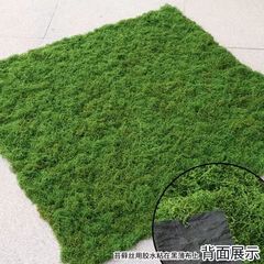 羊毛造景掉色不植物墙水陆缸假山石头仿真苔藓青苔缸藓园林雨淋