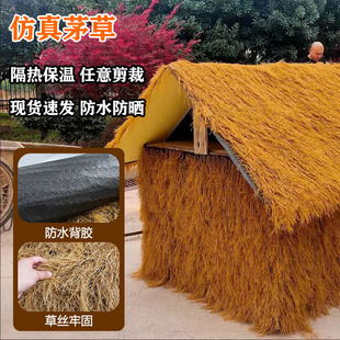 Դ�^�S�� ����é��������ϼ�ë�ݛ�ͤ���쵾��ľ���ؾ��^�b�