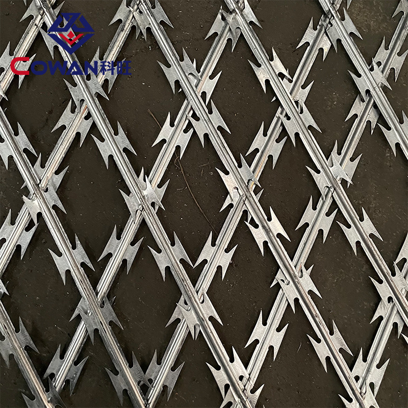 Hoja galvanizada de la inmersión caliente alambre de púas anti-robo red doble espiral hoja Red Anti-escalada alambre de púas verde