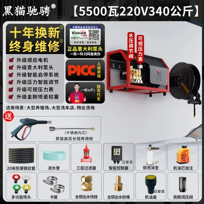 Car washing machine | Gun Car Wash Pump - italian-brand-pump-head-220v55kw-340kg-pressure-20m-steel-wire-pipe-automatic-pipe-retractor