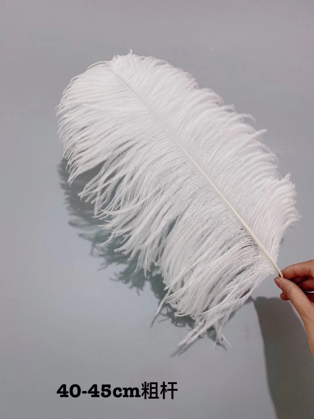 ee0f95a427a8d0a2bc74757ff9b9fb