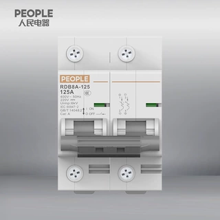 中国人民电器RDB8A-125系列塑料外壳式断路器