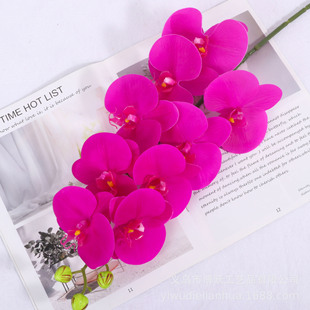 Film feel 9 Phalaenopsis Simulation Phalaenopsis Purple Flower Artificial Orchid Home Decoration Wedding Wholesale