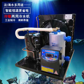 海鲜养殖冷水机组鱼池机组冷暖养殖恒温制冷冷水机组工业制冷设备