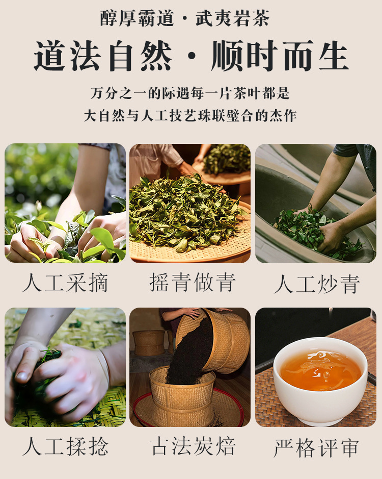 详情1(为底片,不可修改)_06