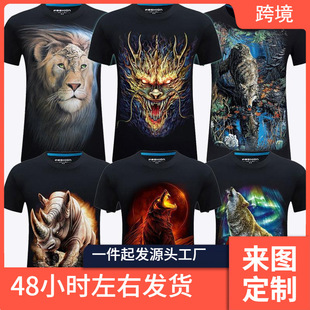 3dt�����w�ſ�Ԛ����·��Ъ{�����e�r�ж���A�IT����t����