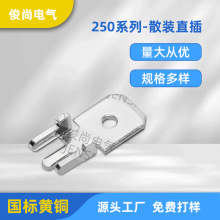 250插片端子直插防倒公插片4.8双脚线路板插片金属插脚电路板插件