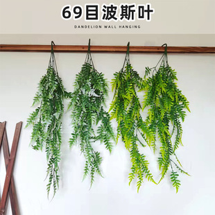 ����ާ�ݲ�˹��69Ŀ��˹�~�ٻ�ֲ��Iާ�b��������Ծ�����Gֲ