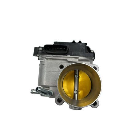 Throttle Body Assembly – Drossel