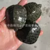 6-8cm 40-60g