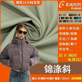 锦涤斜面料 皱感斜纹风衣外套布料 秋冬棉服羽绒服宠物服面料现货