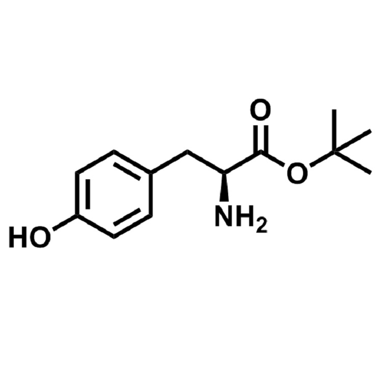 L-酪氨酸叔丁酯  CAS:16874-12-7  98%  现货供应  价格详询