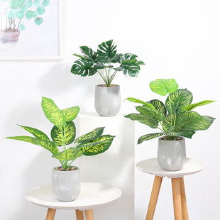 Simulation of green leaf turtle leaf cement pot plant ornaments creative home living room desktop green plant decorations