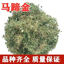 马蹄金马蹄金荷包草黄胆草小金钱草螺丕草小马蹄真货好货