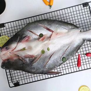 湄公鱼烤鱼开背巴沙鱼带皮无刺新鲜冷冻整条凌波鱼整箱16斤商用-阿里巴巴