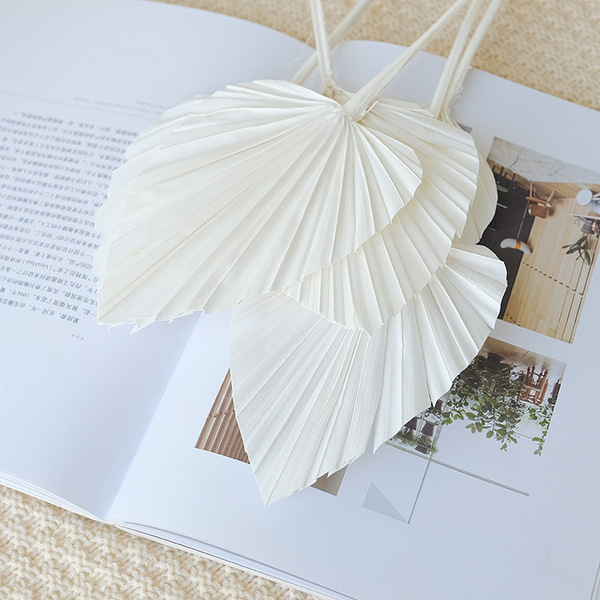 Guanyin fan dry flower yang fan palm leaf fan leaf leaf leaf leaf…