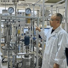 SCR脱硝催化剂评价装置 汽车尾气固定床反应器 生物质热解流化床