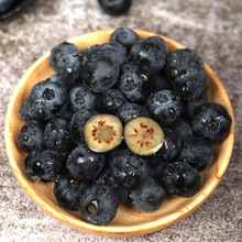 �����x����ϻ����{ݮ L25 ��ݮ����r����𮔼����r�ЋDˮ��