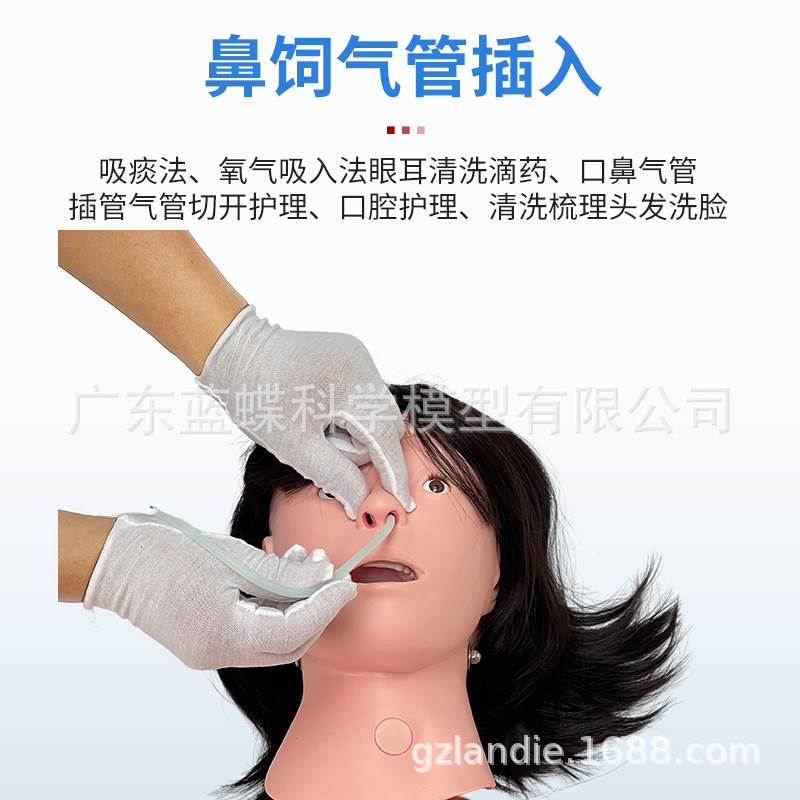 Ů�Ի�����ģ�� �������������ϻ�����ѵ ��ɩ����ʦ�̾߻���ģ��