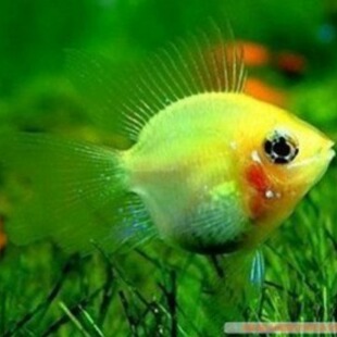 �^�p�~ �Ꭷ�~ �����~���� ���� �P���~  ���B�׻�