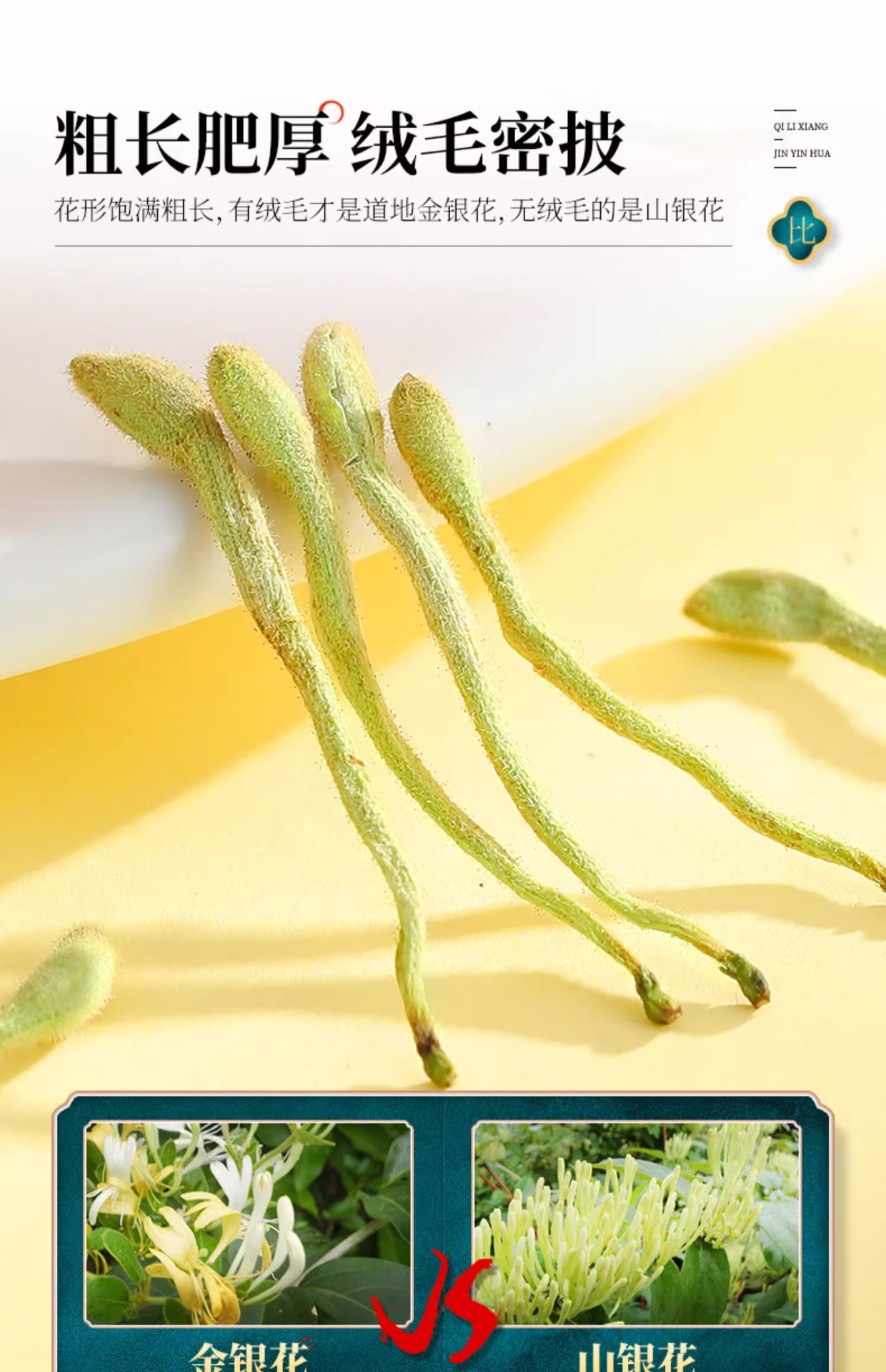 Dried Honeysuckle Flower Buds Jin Yin Hua 28g Natural Sun Dried Loose Herbal Tea quality and texture