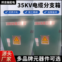 廠家35kv電纜分接箱帶開關分支箱 戶外高壓銅排箱 35KV銅排分支箱