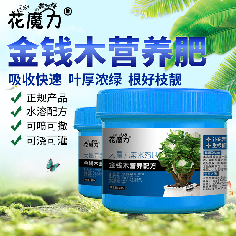 Money Wood Old Pile Special Nutritional Fertilizer Round Shell Purslane Money Tree Cloud Leaf Copper Money Sedum Tree Bonsai All Year Round Fertilizer