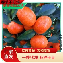 ������ ������ �۾� �t���˽��� ����Ƥ��֭���o�˼޽ӹ�����