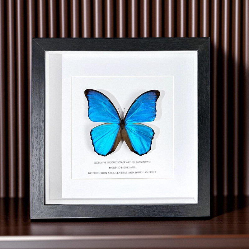 Wooden Real Glass Hollow Three-Dimensional Photo Frame, Actual 2cm Butterfly Insect Specimen Painting DIY Handmade Frame Mirror Frame Wooden Real Glass Hollow Three-Dimensional Photo Frame, Actual 2cm Butterfly Insect Specimen Painting DIY Handmade Frame Mirror Frame