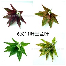 ���������m�~�^�z���|ֲ��Gֲ���b�����~�����챳�����߷���