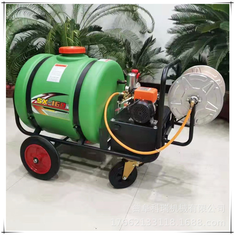 手推款蔬菜基地打药机 果树茶树高压喷药机 室外远射程喷雾消毒机