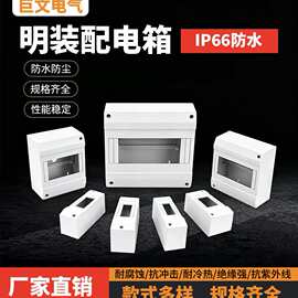 外贸PZ30配电箱 1P2/8回路DZ47海格型明装盒C45空气开关漏保盒HAG