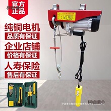 微型电动葫芦220V家用小型1吨卷扬提升机吊具装修吊砖升降麦太保