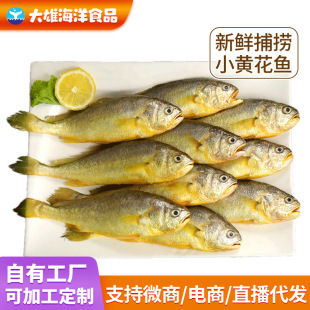 �S�~С�S���~�ش����r�������r���r���l���S�~���l