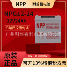 NPG12-24Ah̫zw늳12V24AH UPSԴEPSԴֱ