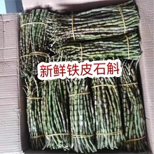 新鲜石斛 地摊批发电商铁皮石斛鲜条榨汁九大仙草石斛兰紫皮铁皮