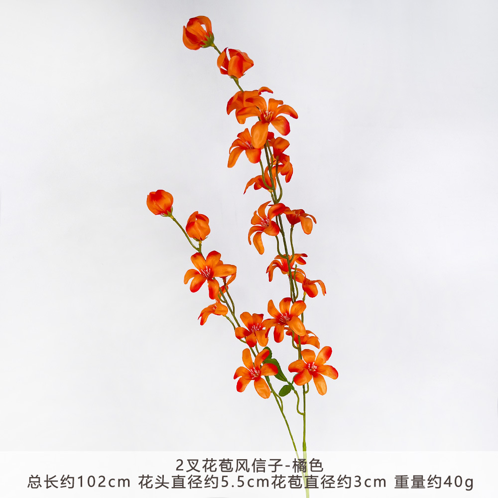 YN-2 màu cam hoa thủy tiên