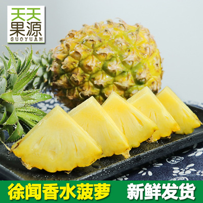 Guangdong Zhanjiang Xuwen Perfume Pineapple 41 fruit wholesale One piece On behalf of Hainan Diamond Pineapple