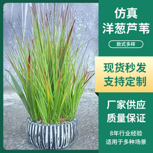 WLJȔ[ݼҾ҃bGֲ̨辰Wt쾰