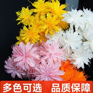 ���S�һ��ɻ��ֹ����Ҿ�ܛ�b���Ļ�ˇ�OӋ�p��С��ܛ�b��ˇ