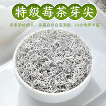 新茶高山特级张家界莓茶龙须芽尖霉茶龙须莓茶高山芽尖藤茶茶叶