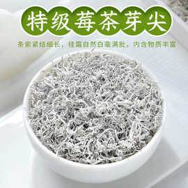 新茶高山特级张家界莓茶龙须芽尖霉茶龙须莓茶高山芽尖藤茶茶叶