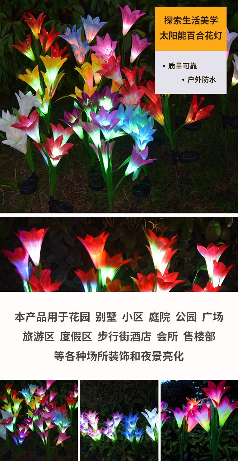 2_11.jpg?x-oss-process=image/format,png